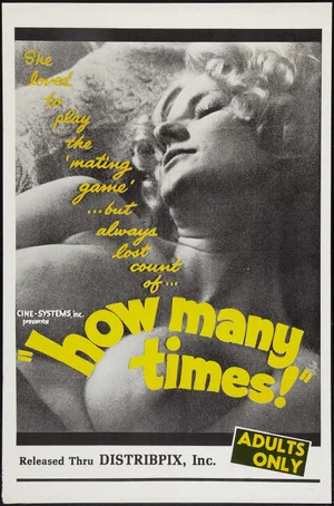 Постер: How Many Times