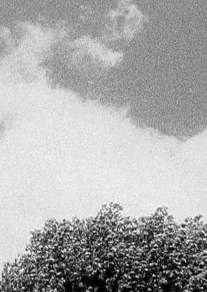 Постер: Tree & Cloud