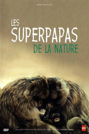 Постер: Les superpapas de la nature