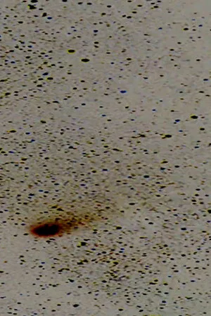 Постер: Halley’s Comet