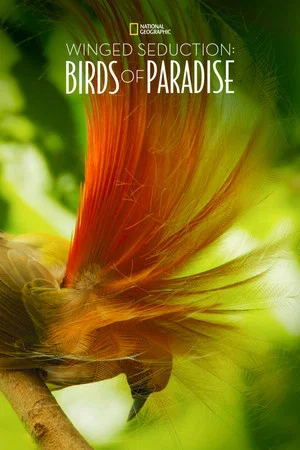Постер: Winged Seduction: Birds of Paradise