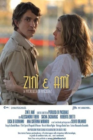 Постер: Zinì e Amì