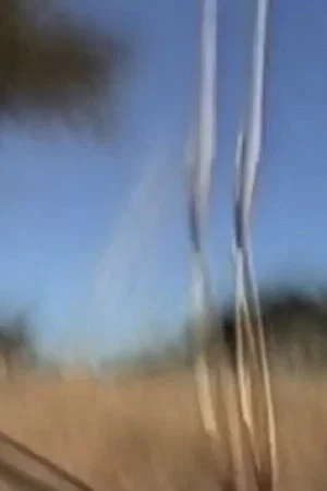 Постер: Mount Magnet