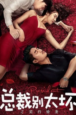 Постер: Young President and His Contract Wife
