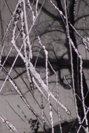 Постер: Snow