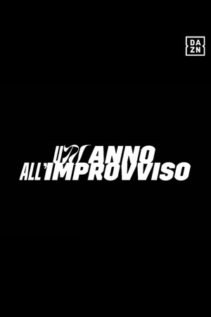 Постер: Un anno all'improvviso