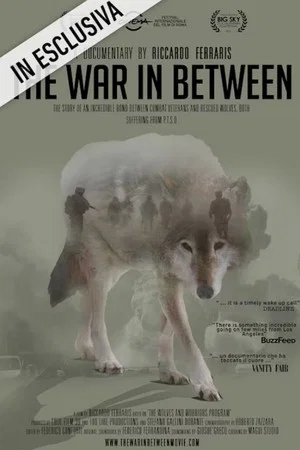 Постер: The War In Between