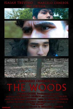 Постер: The Woods