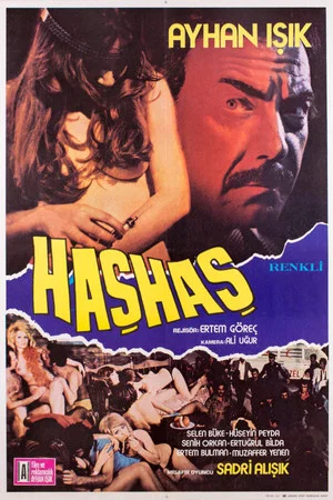 Постер: Haşhaş