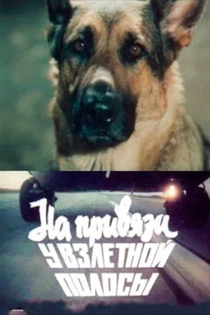 Постер: На привязи у взлетной полосы
