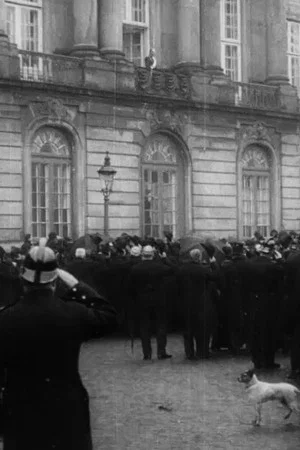Постер: King Frederik VIII's Proclamation