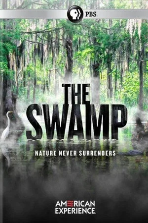 Постер: The Swamp