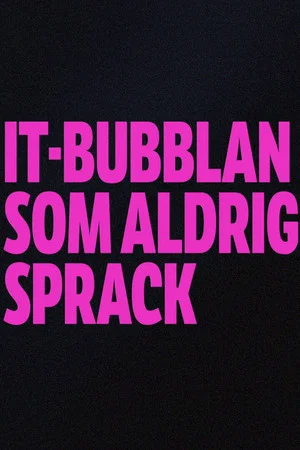 Постер: IT-bubblan som aldrig sprack