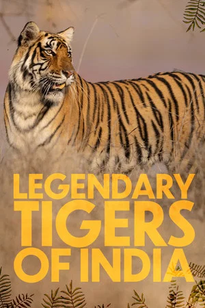 Постер: Legendary Tigers of India