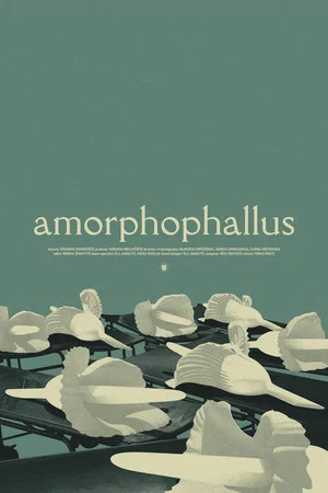 Постер: Amorphophallus