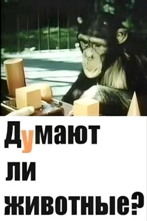 Постер: Думают ли животные?