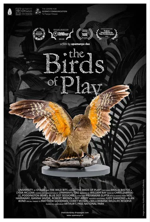 Постер: The Birds of Play