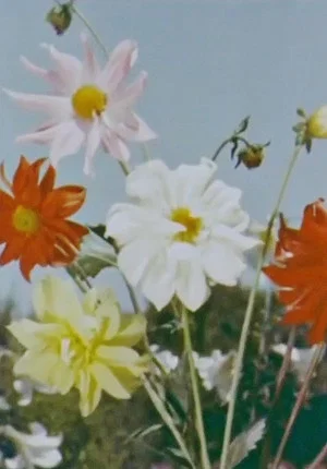 Постер: Spring Comes to Kashmir