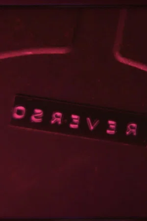 Постер: Reverso