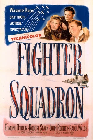 Постер: Fighter Squadron