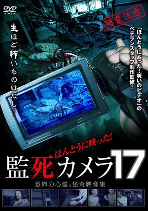 Постер: Paranormal Surveillance Camera 17