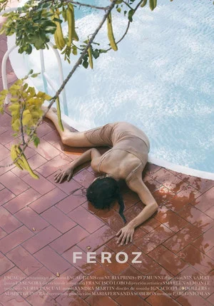 Постер: Feroz
