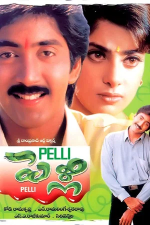 Постер: పెళ్లి