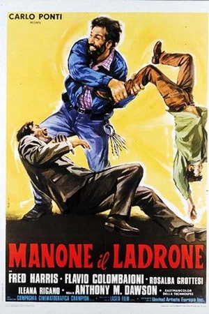 Постер: Manone il ladrone