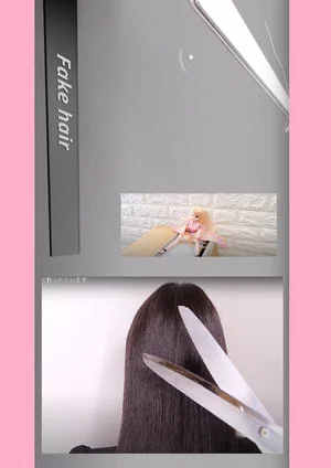 Постер: Pet made from Hair