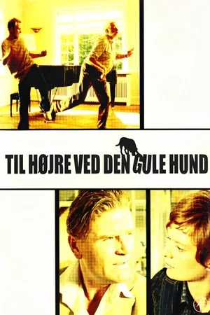 Постер: Turn Right by the Yellow Dog