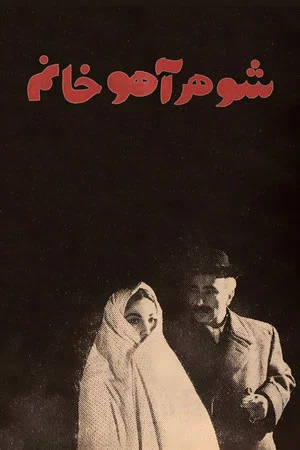 Постер: Ahu's Husband