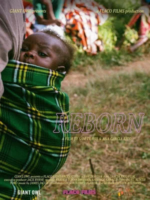 Постер: Reborn