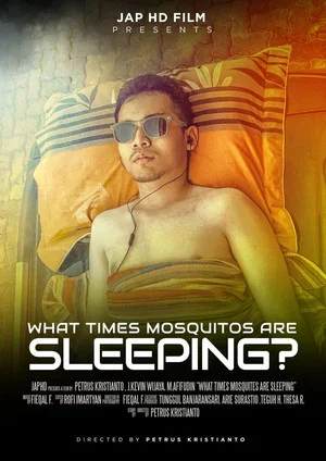 Постер: What Times Mosquitos Are Sleeping?