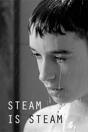 Постер: Steam is Steam