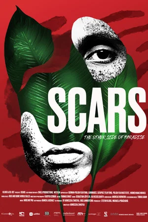Постер: Scars