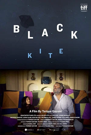 Постер: Black Kite