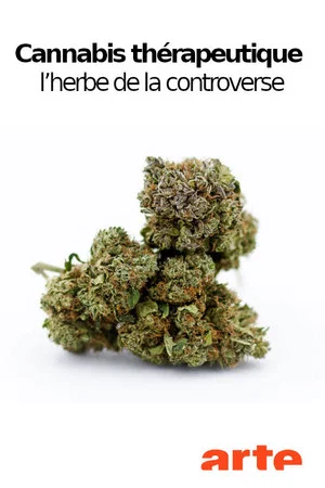 Постер: Cannabis thérapeutique, l’herbe de la controverse