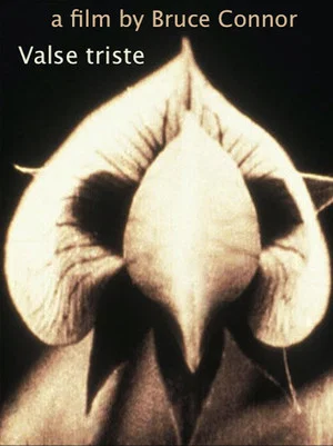 Постер: Valse Triste