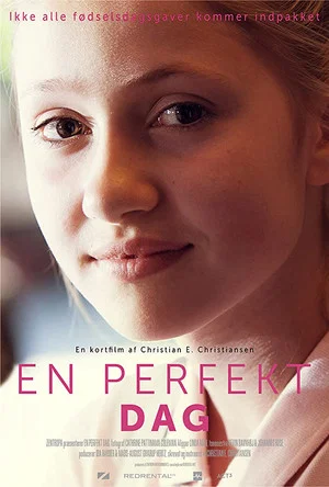 Постер: En perfekt dag