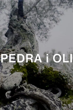 Постер: Pedra i oli