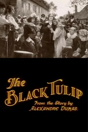 Постер: The Black Tulip
