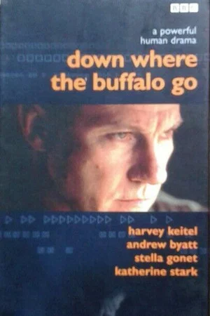 Постер: Down Where the Buffalo Go