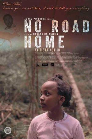 Постер: No Road Home