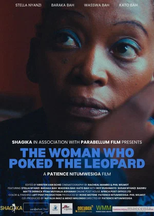 Постер: The Woman Who Poked the Leopard