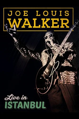 Постер: Joe Louis Walker: Live In Istanbul