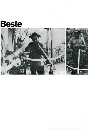 Постер: Beste