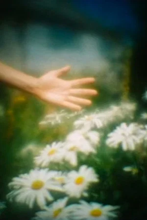 Постер: Camera Obscura