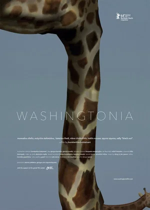 Постер: Washingtonia