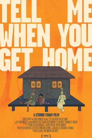 Постер: Tell Me When You Get Home