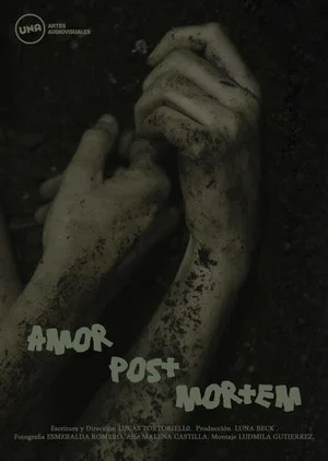Постер: Amor Post Mortem